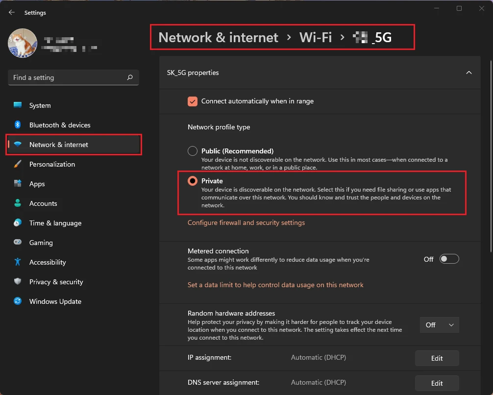 Private network