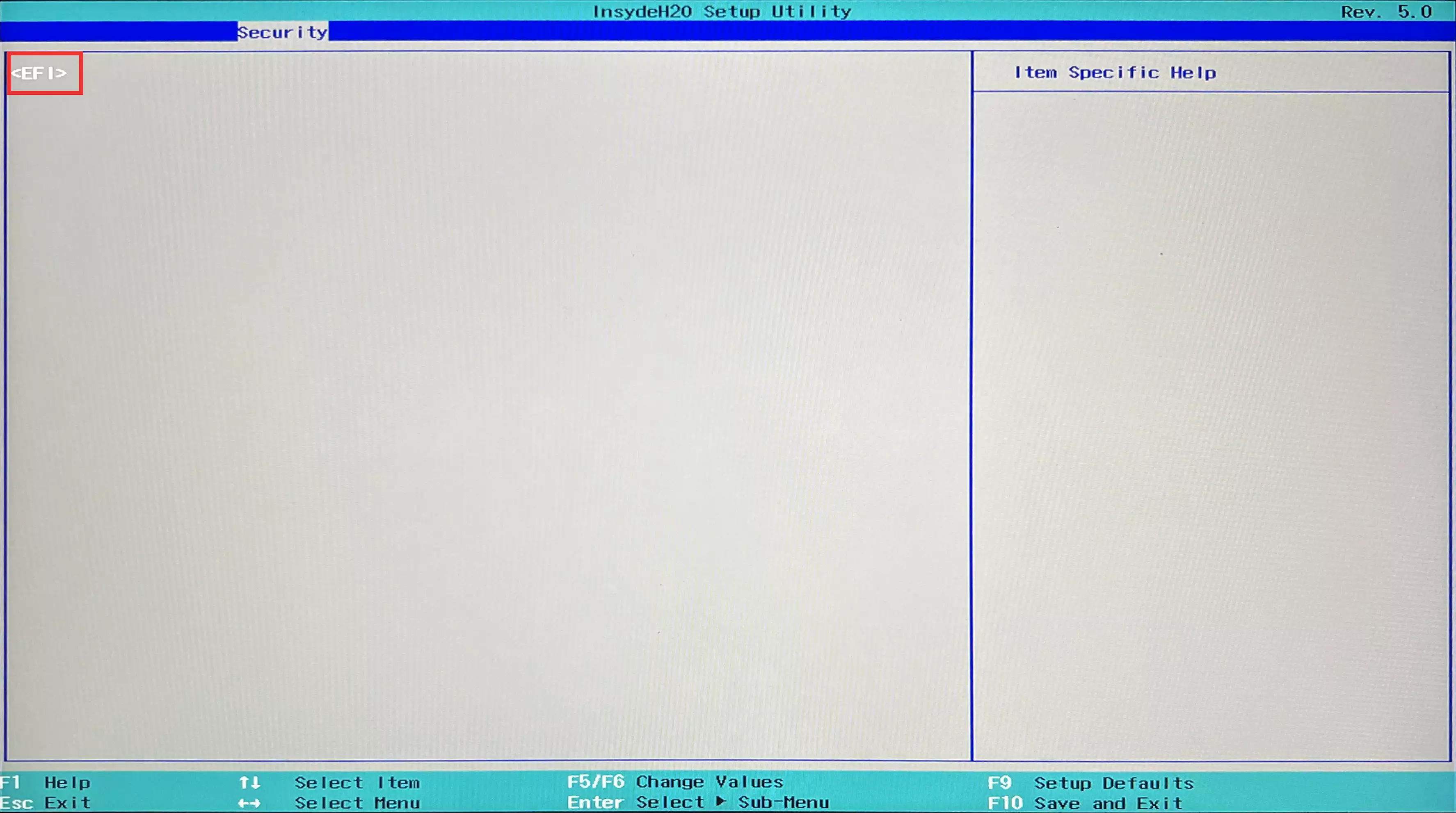 EFI.webp